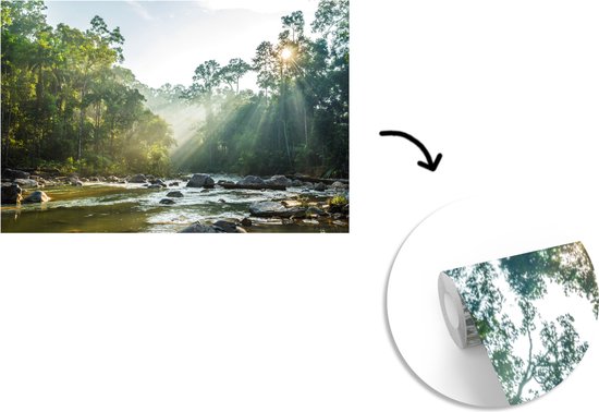 Papier peint vinyle - Le soleil brille sur une rivière dans une forêt malaisienne largeur 390 cm x hauteur 260 cm - Tirage photo sur papier peint (disponible en 7 tailles)