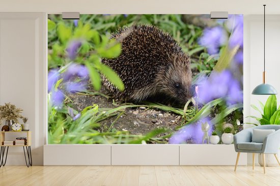Papier peint photo peint vinyle - Hérisson derrière les fleurs largeur 450 cm x hauteur 300 cm - Tirage photo sur papier peint (disponible en 7 tailles)