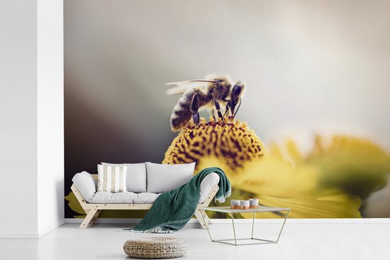 Papier peint Papier peint photo en vinyle - Abeille sur une fleur jaune largeur 450 cm x hauteur 300 cm - Tirage photo sur papier peint (disponible en 7 tailles)