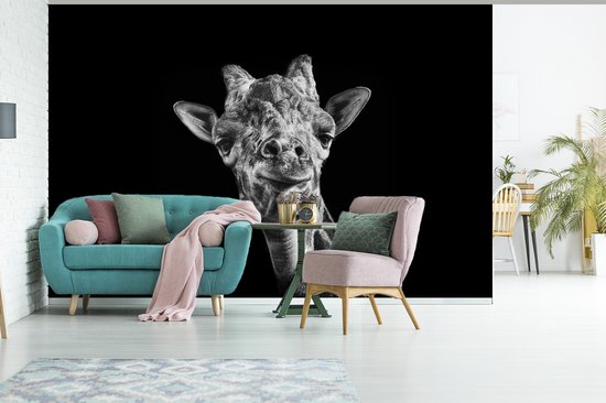 Papier peint - Papier peint Papier peint photo Girafe - Animal - Zwart - Wit - Largeur 390 cm x hauteur 260 cm