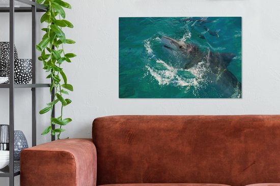 Un requin tigre sortant de l'eau 60x40 cm - Tirage photo sur toile (Décoration murale salon / chambre)