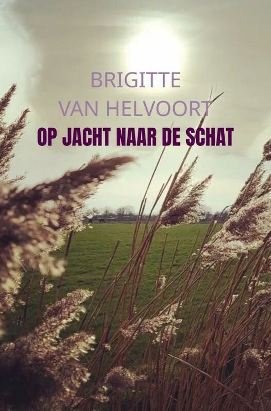 Op jacht naar de schat - cover