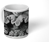 Mok - Koffiemok - Kunst - Koraal - Ernst Haeckel - Oude meesters - Natuur - Mokken - 350 ML - Beker - Koffiemokken - Theemok