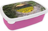 Broodtrommel Roze - Lunchbox - Brooddoos - Doorkijk - Bloemen - Zonnebloem - 18x12x6 cm - Kinderen - Meisje