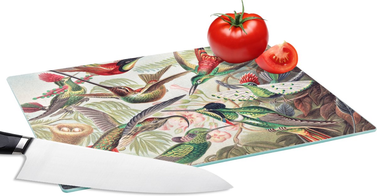 Glazen Snijplank - 28x20 - Kolibrie - Vintage - Ernst Haeckel - Vogel - Kunst - Natuur - Snijplanken Glas