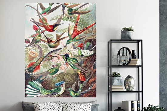 Stickers muraux - Feuille Autocollant - Colibri - Vintage - Ernst Haeckel - Vogel - Art - Nature - 120x160 cm - Feuille Adhésive - Stickers muraux Chambre Enfant - Papier Peint Auto Adhésif XXL