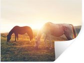 Stickers muraux - Film autocollant - Paarden - Soleil - Animaux - 120x90 cm - Film adhésif - Stickers muraux chambre enfant - Papier peint autocollant - Papier peint autocollant - Film autocollant