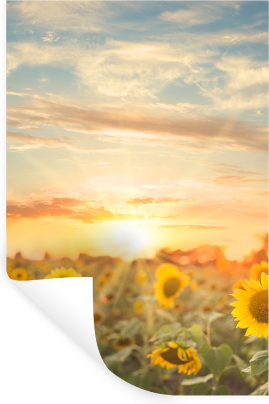Muurstickers Sticker Folie Zonnebloem Zon Bloemen 40x60 Cm muurstickers-sticker-folie-zonnebloem-zon-bloemen-40x60-cm