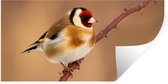 Muurstickers - Sticker Folie - Putter - Vogel - Dieren - 80x40 cm - Plakfolie - Muurstickers Kinderkamer - Zelfklevend Behang - Zelfklevend behangpapier - Stickerfolie