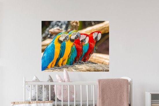 Stickers muraux - Vogels - Perroquet - Tropical - Nature - 80x60 cm - Feuille adhésive