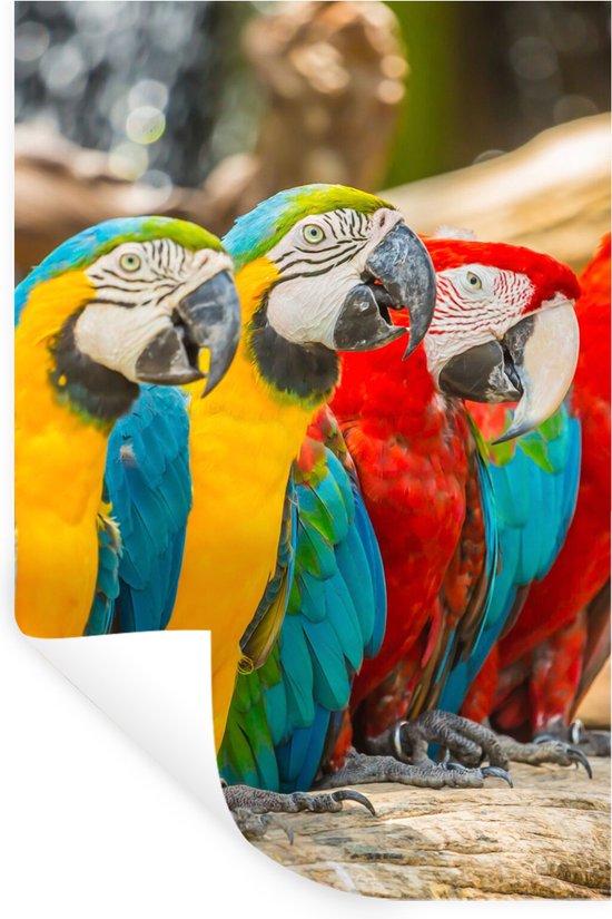 VEELIKE Donker jungle dierenbehang voor kinderkamer zwart tropisch behang verwijderbaar exotische vogels patroon schil en stok contactpapier voor poederkamer muren decor 44,5 cm x 300 cm