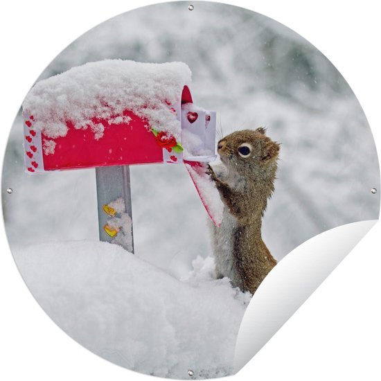 Garden Circle Squirrel - Boîte aux Lettres - Neige - Hiver - 90x90 cm - Affiche Ronde de Jardin - Extérieur