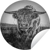 Tuincirkel Schotse Hooglander - Zwart Wit - Koeienkop - 60x60 cm - Ronde Tuinposter - Buiten