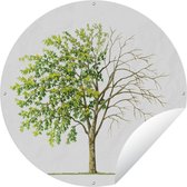 Tuincirkel Een illustratie van een goudenregen boom die bladeren verliest - 90x90 cm - Ronde Tuinposter - Buiten