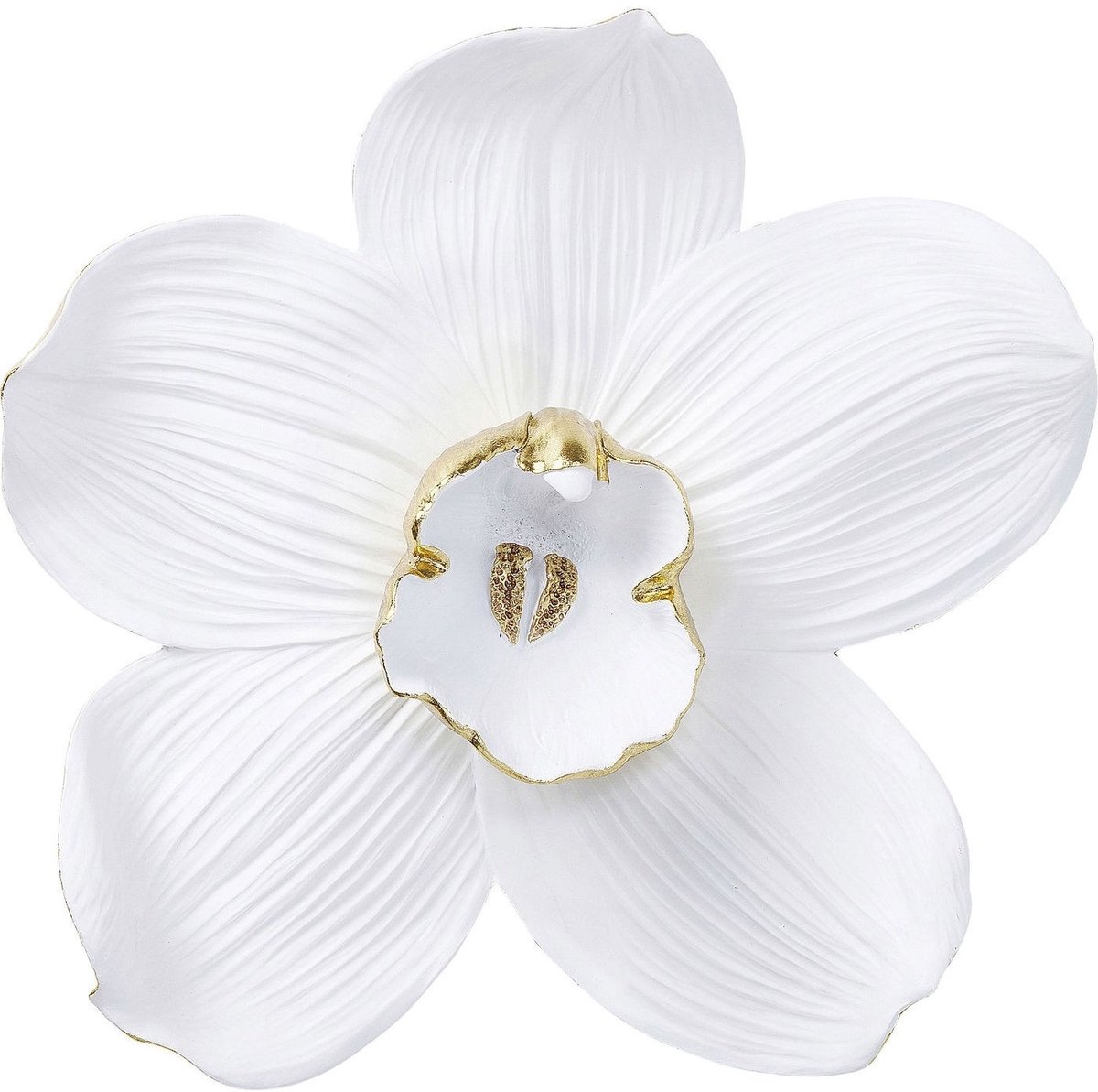 Kare Wanddeco Orchidee White 54 cm