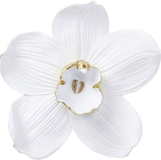 Kare Wanddeco Orchidee White 54 cm