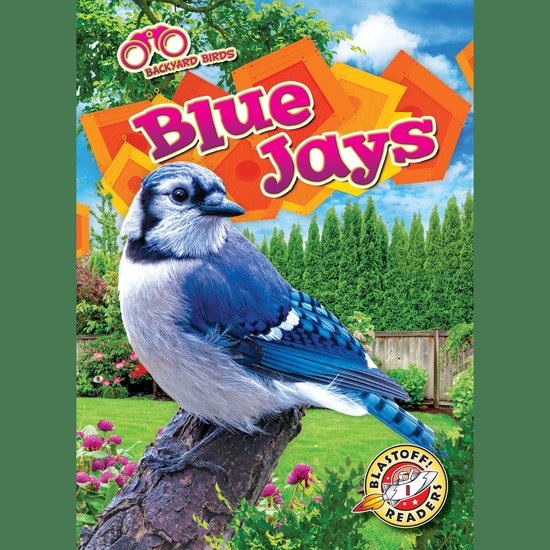 Blue Jays - cover