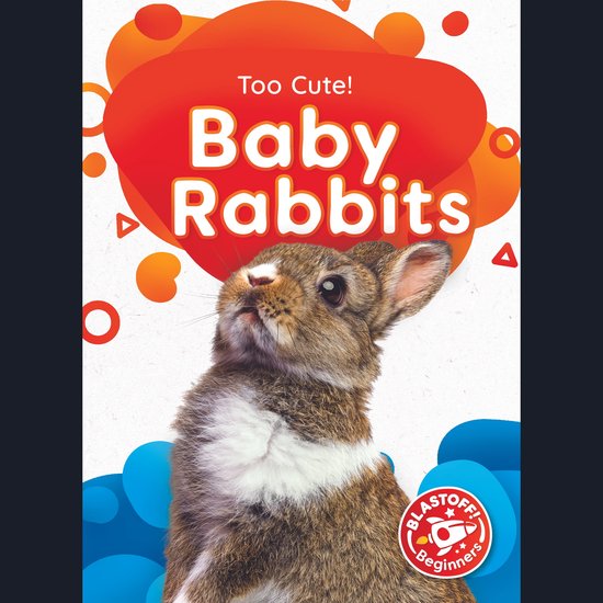 Baby Rabbits - cover