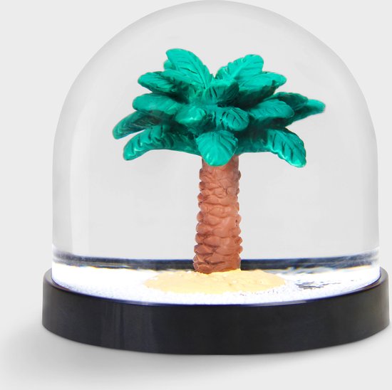 Sneeuwbol Palmboom