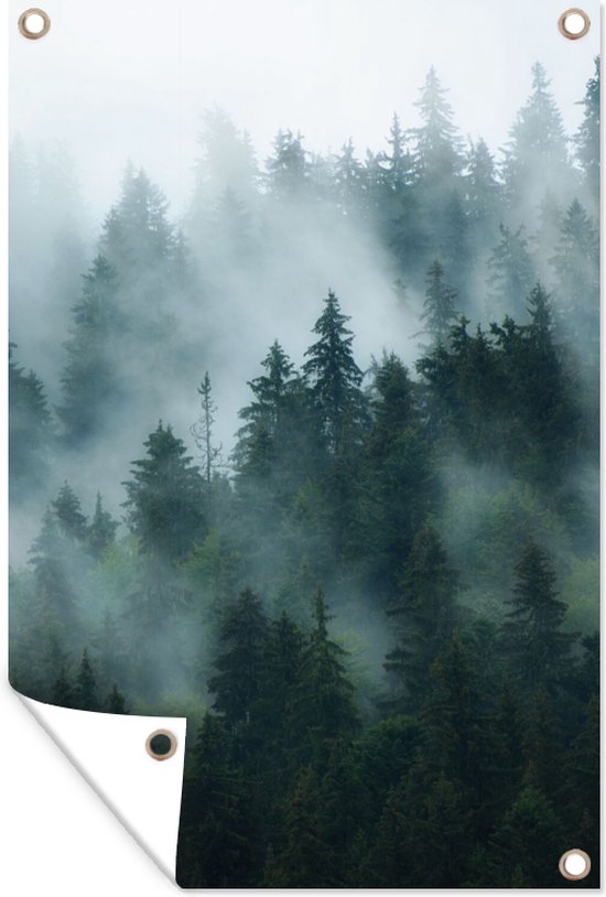 Tuinposter - Mist - Bomen - Bos - 60x90 cm - Schuttingposter - Natuur - Muurdecoratie - Wanddecoratie - Tuindoek - Buitenposter