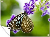 Tuinposter - Vlinders - Lavendel - Bloemen - Lente - Tuinschilderij - 40x30 cm - Tuindoek
