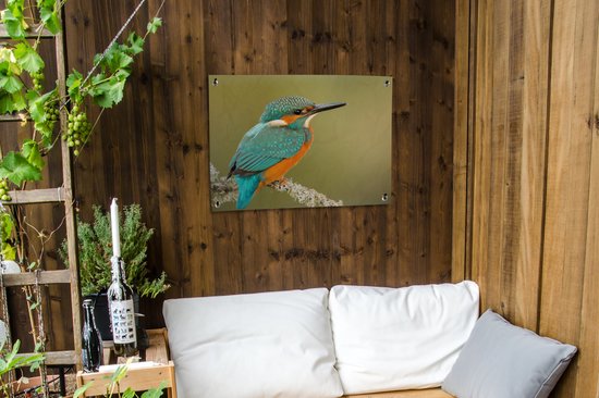 Tuinposter 80x60 cm - Tuindecoratie IJsvogel - Dieren - Vogel - Poster voor in de tuin - Buiten decoratie - Schutting tuinschilderij - Tuindoek muurdecoratie - Wanddecoratie balkondoek