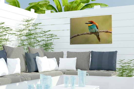 Affiche de Jardin Vogel - Guêpier - Animaux - 60x40 - Toile jardin - Affiche extérieure