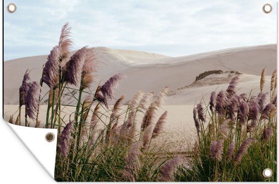 Tuinposter - Pampas - Pampas pluimen - Planten - Gras - Zand - 90x60 cm - Tuinposter bloemen - Tuin - Muurdecoratie - Tuindecoratie - Tuindoek - Buitenposter