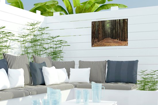 Affiche jardin - Automne - Forêt - Arbres - 40x30 cm - Décoration jardin - Affiche clôture - Toile jardin - Affiche extérieur
