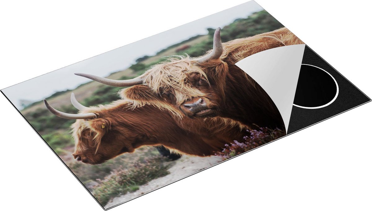 Chefcare Inductie Beschermer Twee Schotse Hooglander Koeien - 80x52 cm - Afdekplaat Inductie - Kookplaat Beschermer - Inductie Mat