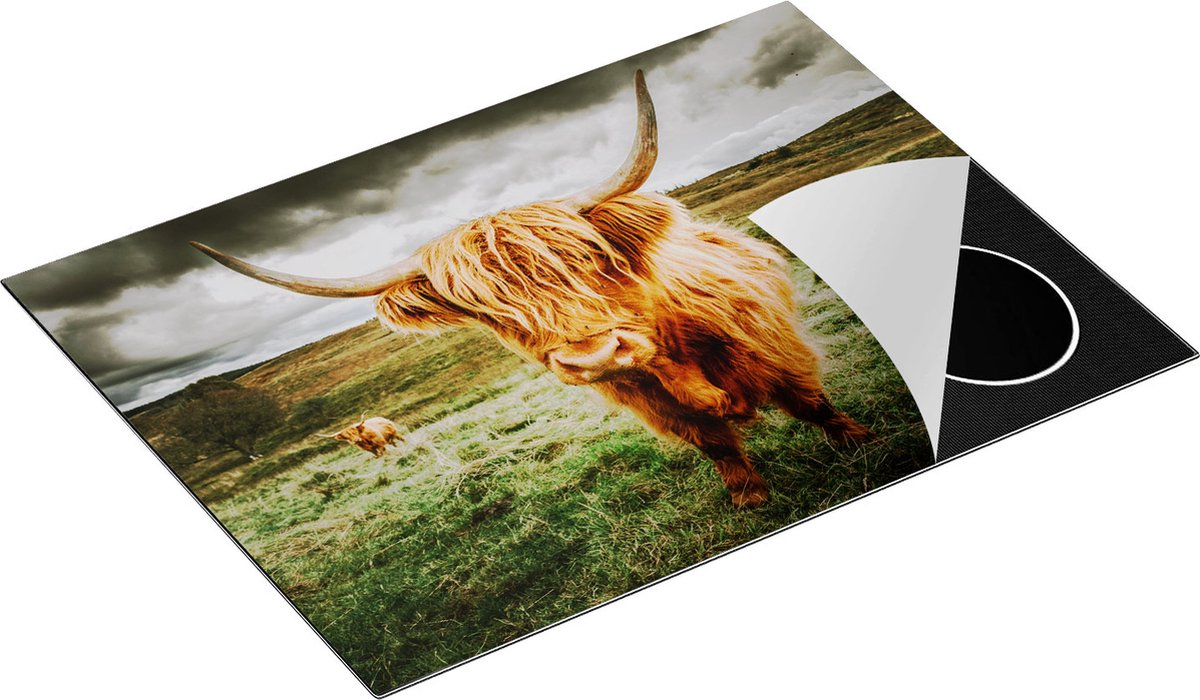 Chefcare Inductie Beschermer Schotse Hooglanders in de Weide met Wolken - 71x52 cm - Afdekplaat Inductie - Kookplaat Beschermer - Inductie Mat