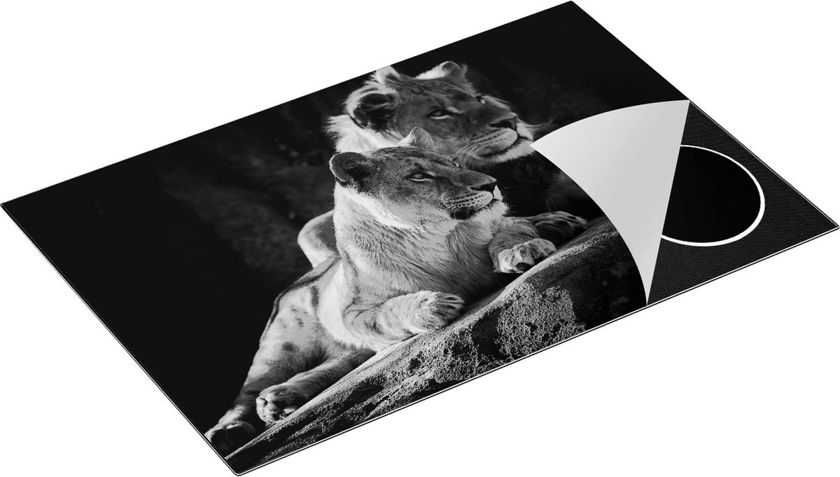 Chefcare Inductie Beschermer Leeuw en Leeuwin zitten naast elkaar - Zwart Wit - 83x51,5 cm - Afdekplaat Inductie - Kookplaat Beschermer - Inductie Mat