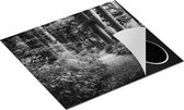 Chefcare Inductie Beschermer Voetpad in het Bos - Zwart Wit - 59x51 cm - Afdekplaat Inductie - Kookplaat Beschermer - Inductie Mat