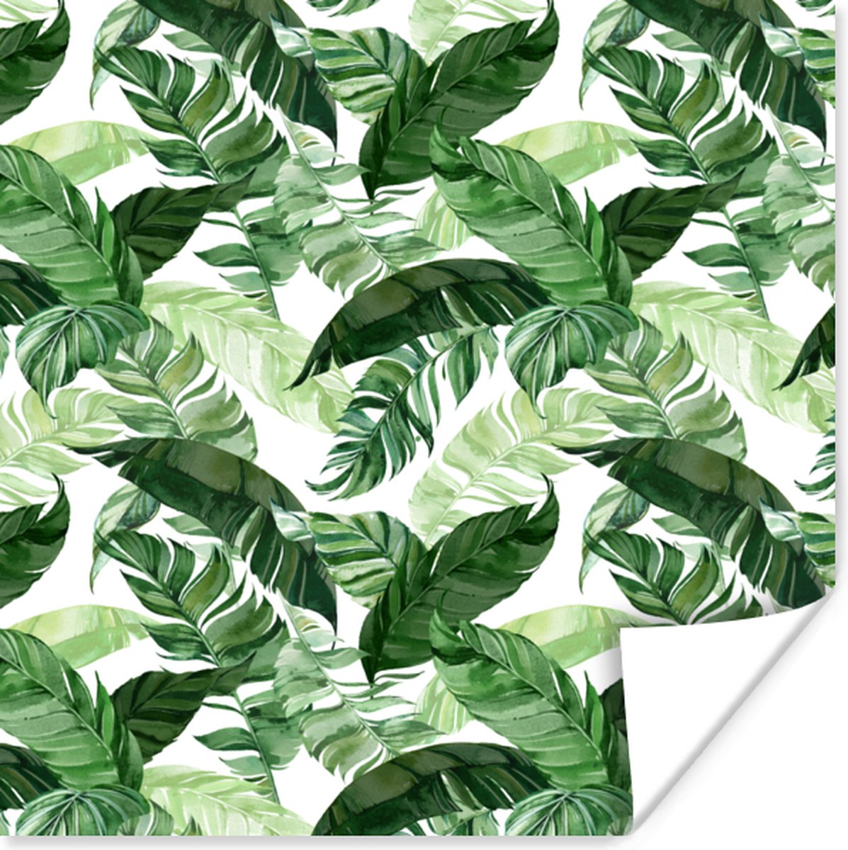 Poster Bladeren - Tropical - Jungle - Patroon - 30x30 cm