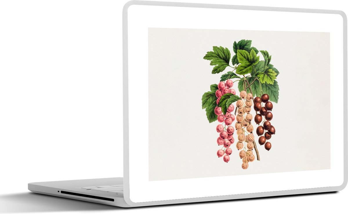 Laptop sticker - 17.3 inch - Fruit - Vintage - Bladeren - 40x30cm - Laptopstickers - Laptop skin - Cover
