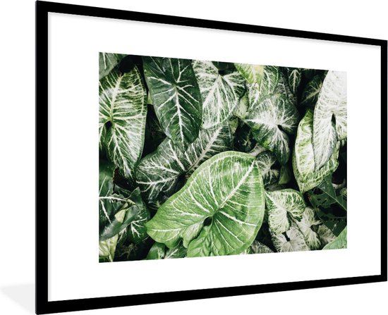 Fotolijst incl. Poster - Bladeren - Planten - Natuur - 120x80 cm - Posterlijst