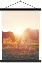 Porte-affiche avec affiche - Affiche scolaire - Paarden - Soleil - Animaux - 60x80 cm - Lattes noires