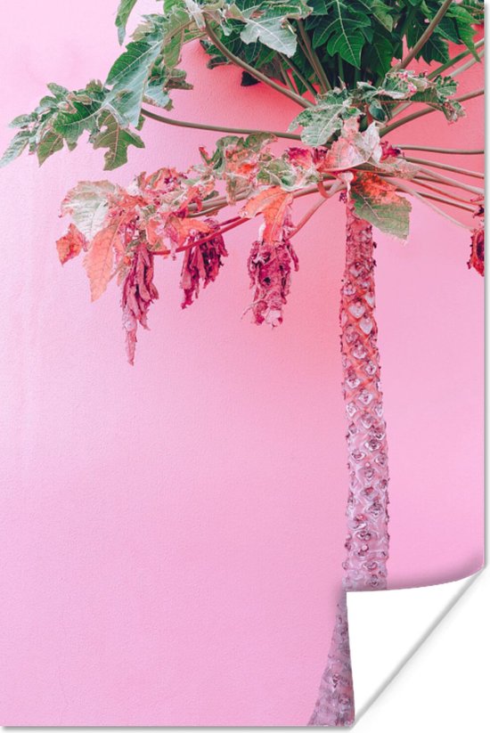 Poster Palmboom - Tropisch - Roze - Zomer - 20x30 cm
