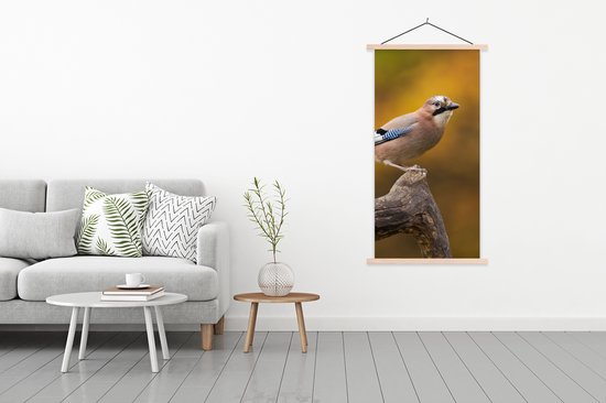 Porte-affiche avec affiche - Affiche scolaire - Vogel - Branche - Geai - 90x180 cm - Lattes vierges