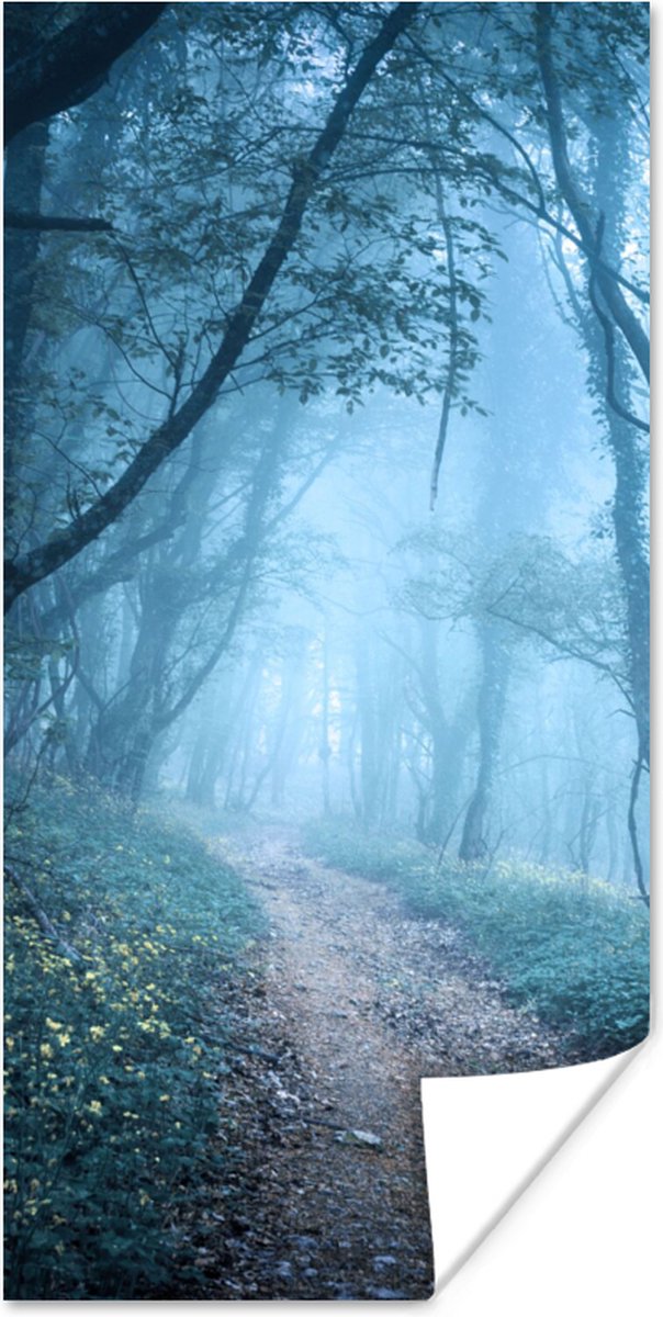 Poster Bomen - Natuur - Mist - 75x150 cm