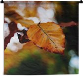Tapisserie - Tapisserie - Beuk - Automne - Feuilles - 90x90 cm - Tapisserie