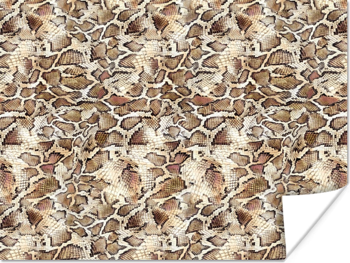 Poster Slang - Dieren - Design - 40x30 cm