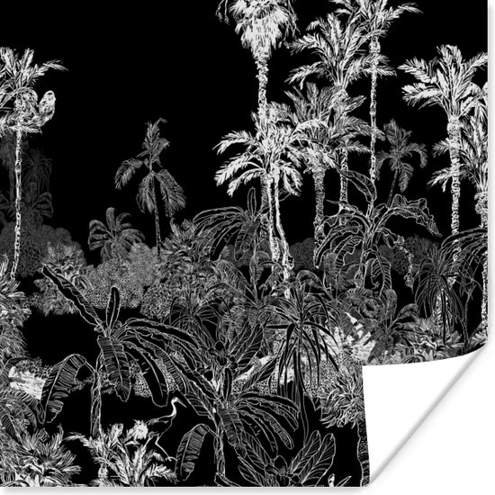 Affiche Palmier - Jungle - Tropical - 100x100 cm XXL