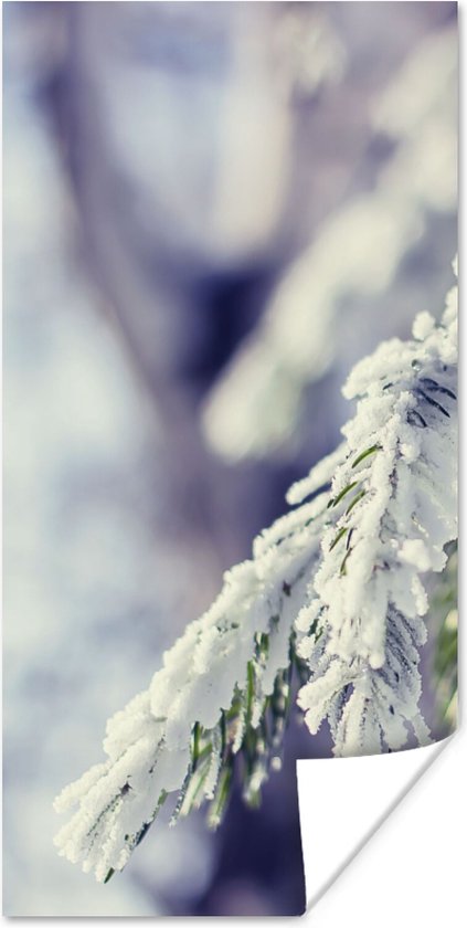 Poster Winter - Dennenboom - Sneeuw - Landelijk - 40x80 cm - Kerstmis Decoratie - Kerstversiering - Kerstdecoratie Woonkamer - Kerstversiering - Kerstdecoratie voor binnen - Kerstmis