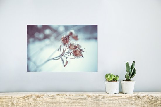 Poster Plantes - Hiver - Neige - Nature - 30x20 cm - Décorations de Noël - Décoration de Noël pour l'intérieur - Noël