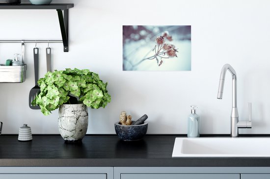 Poster Plantes - Hiver - Neige - Nature - 30x20 cm - Décorations de Noël - Décoration de Noël pour l'intérieur - Noël