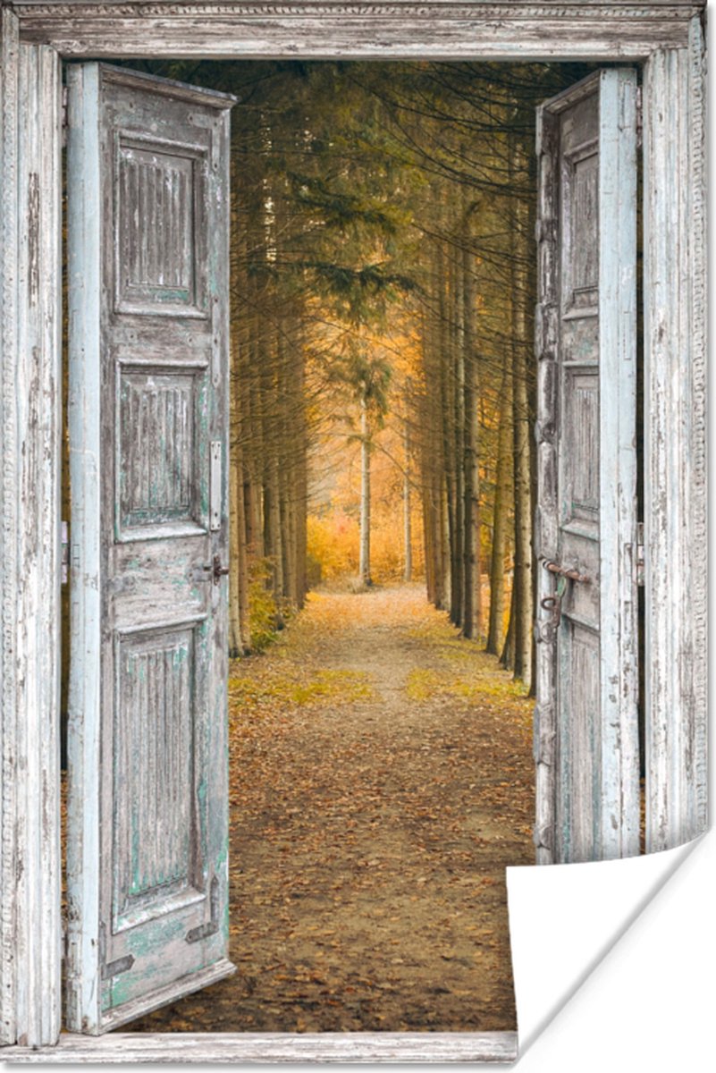 Poster Bos - Herfst - Doorkijk - 20x30 cm