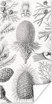 Poster - Ernst Haeckel - Kamer decoratie aesthetic - Natuur - Vintage - Boom - Zwart wit - Aesthetic room decor - Wanddecoratie - 20x40 cm
