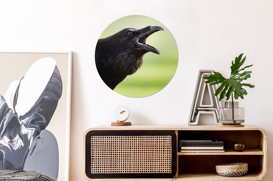 Représentation d'un corbeau qui chante Assiette en plastique cercle mural ⌀ 60 cm - impression photo sur cercle mural / cercle vivant (décoration murale)