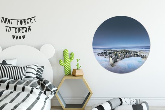 Manchots empereurs au-dessus de l'assiette en plastique cercle mural ciel sombre ⌀ 90 cm - impression photo sur cercle mural / cercle vivant (décoration murale)